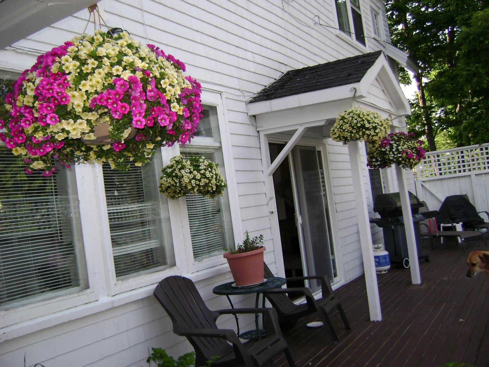 Lakelawn B&B And Motel Yarmouth Dış mekan fotoğraf