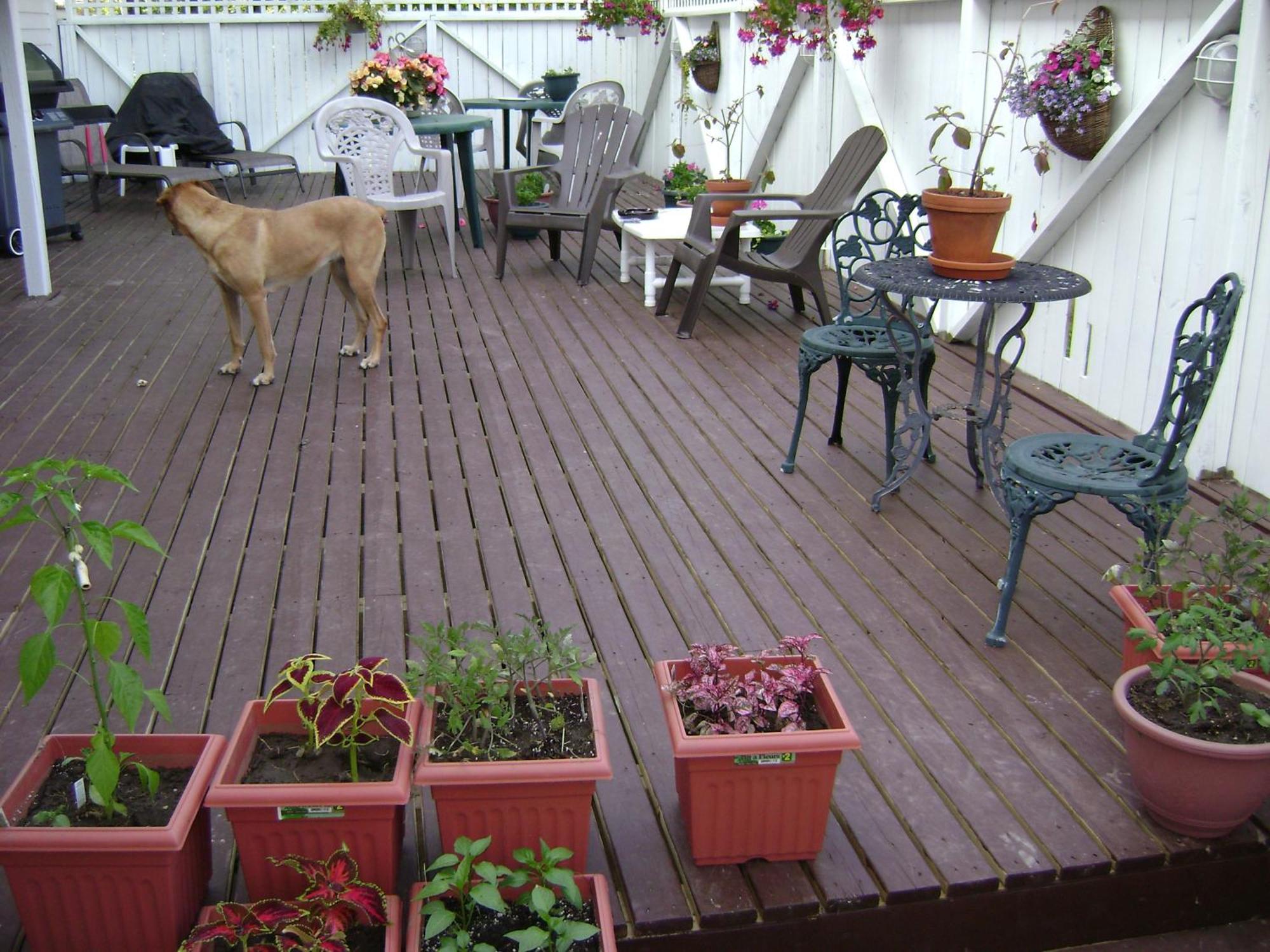 Lakelawn B&B And Motel Yarmouth Dış mekan fotoğraf